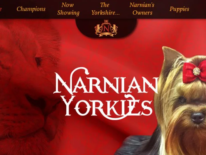 Narnian Yorkies