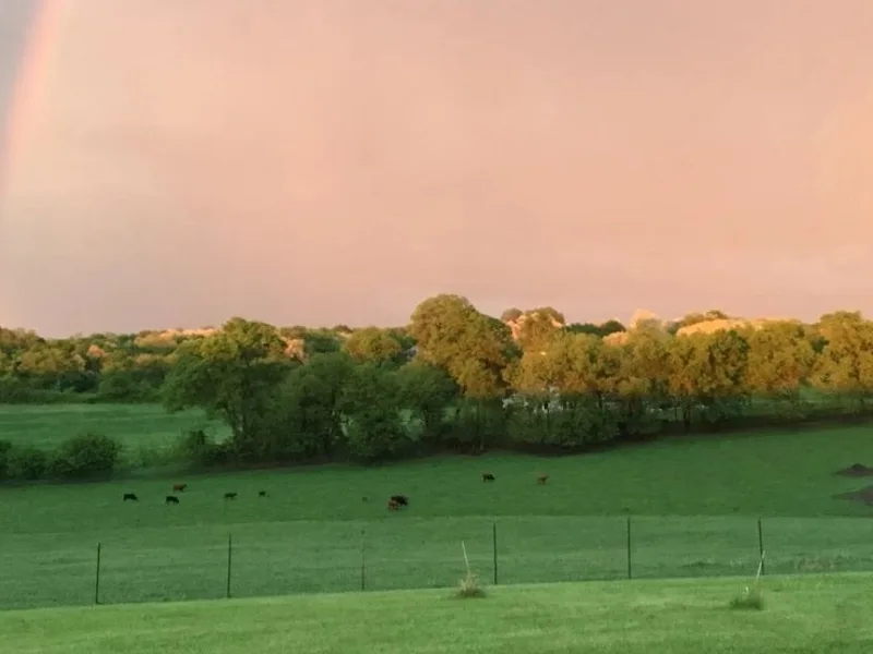 Nature's Own Kennel