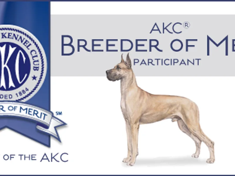 Neet Great Danes (J & C Neet)