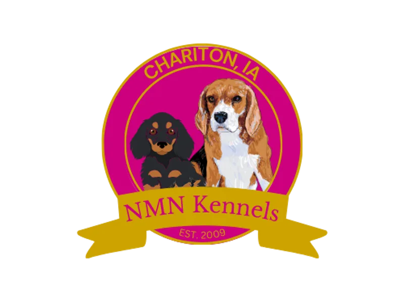Nmn kennels