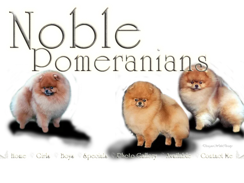 Noble Pomeranians