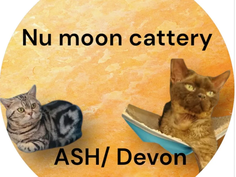 Nu moon photo 1