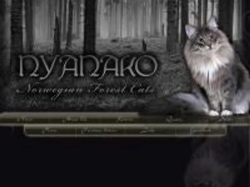 NyanakoGB photo 1