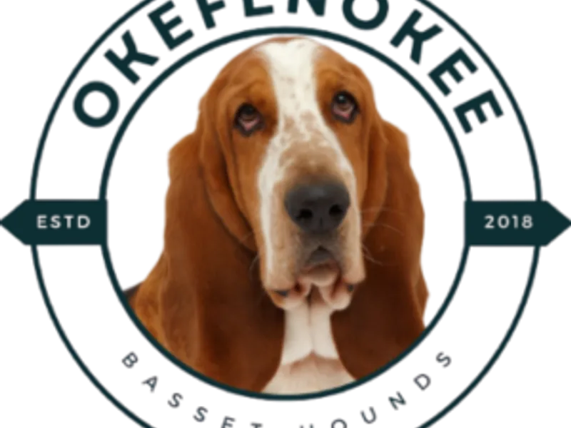 Okefenokee Basset Hounds