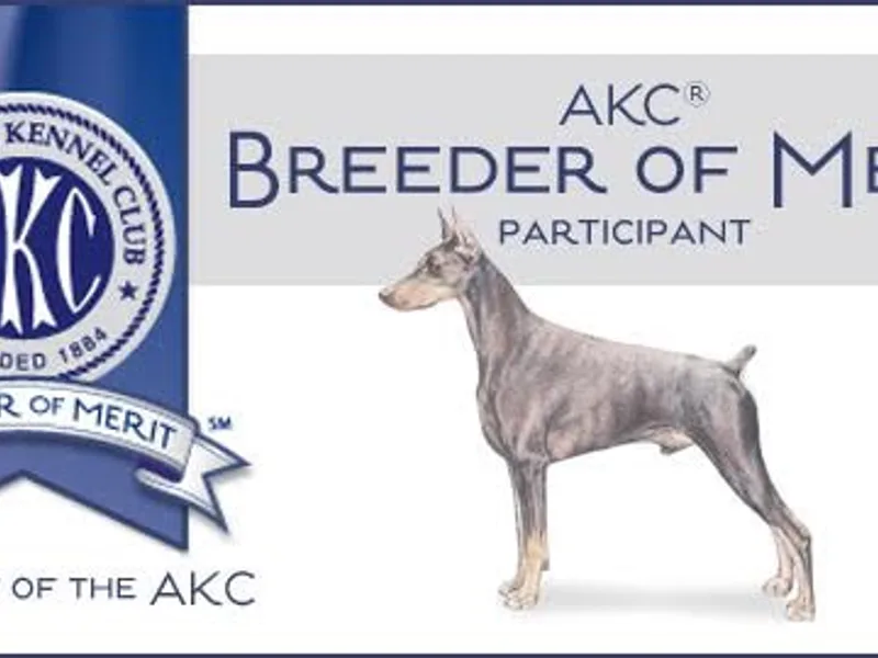Omnia Paratus Doberman Kennels