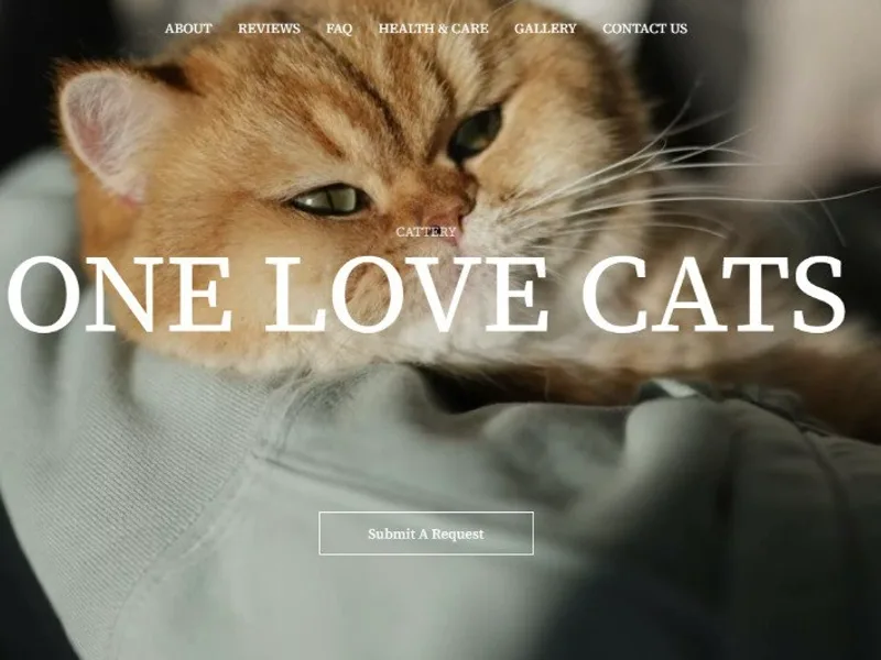 Onelovecats