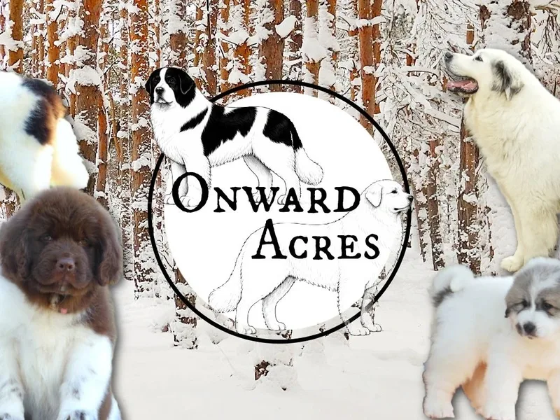 Onward Acres