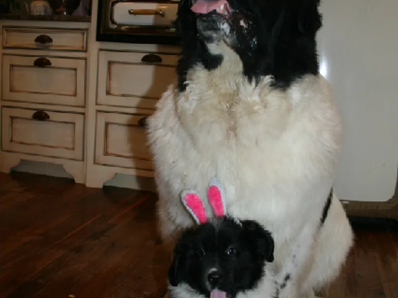 Opening Heavens Doors