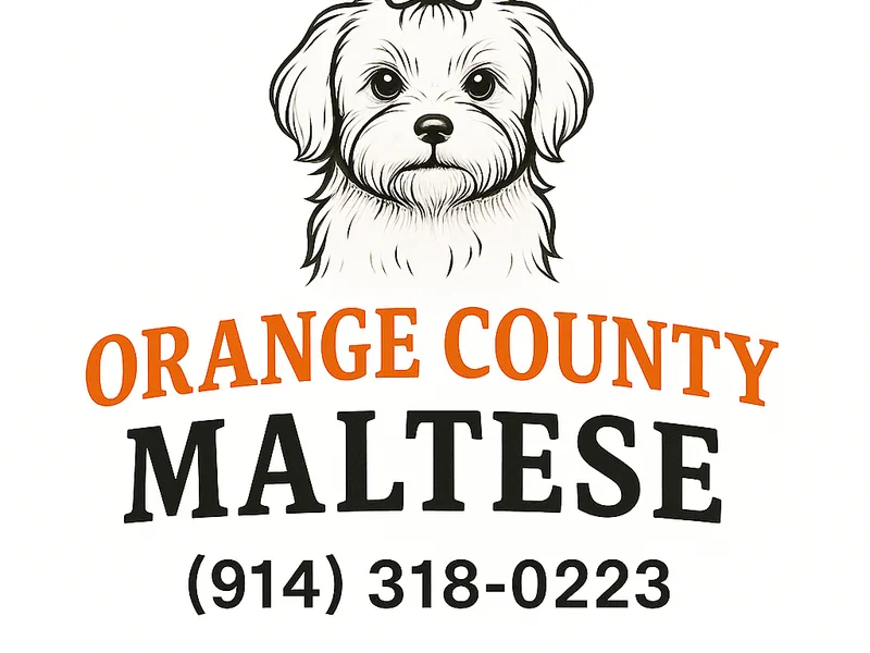 Orange County Maltese