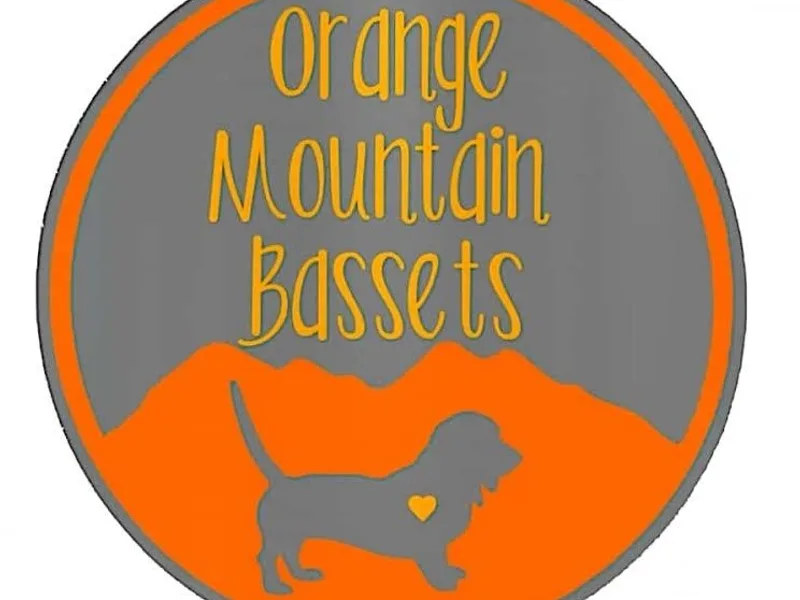 Orange Mountain Bassets & Beagles
