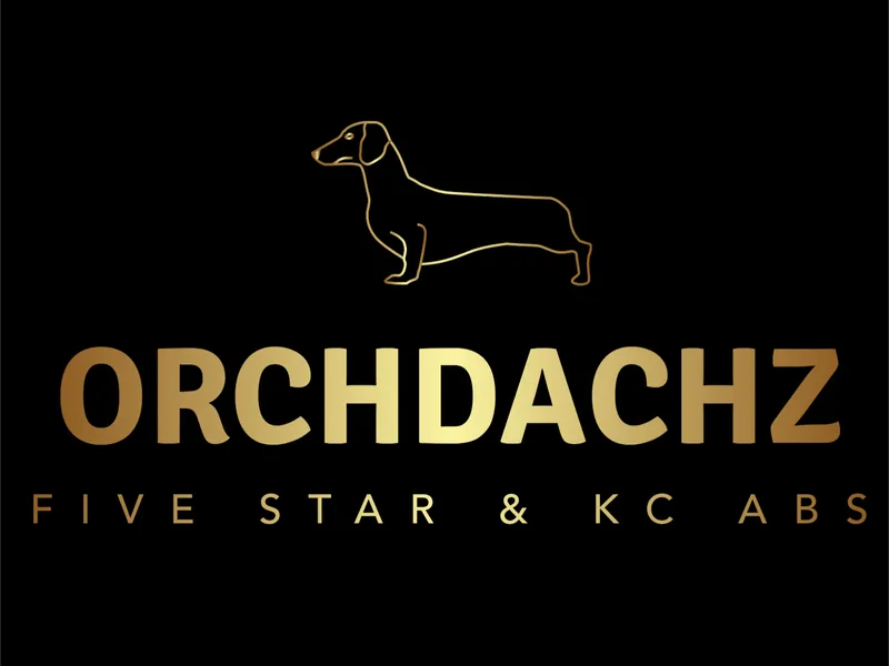ORCHDACHZ photo 1