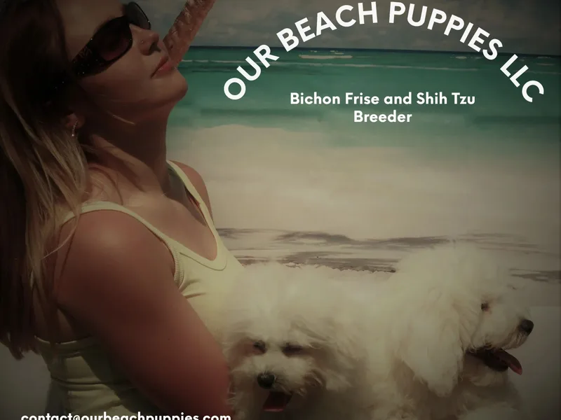 Our Beach Puppies, LLC