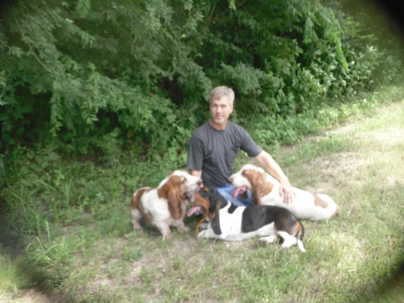 OVERLY AFFECTIONATE HOUNDS