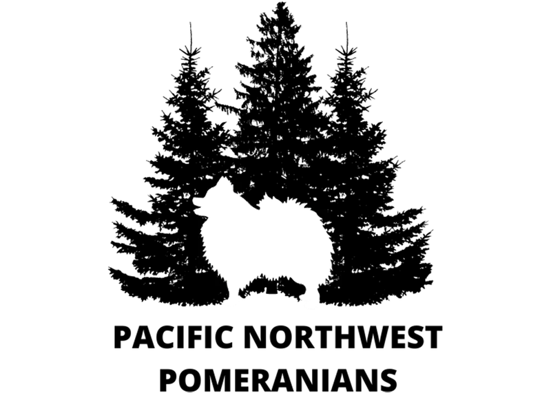 Pacific Northwest Pomeranians LLC