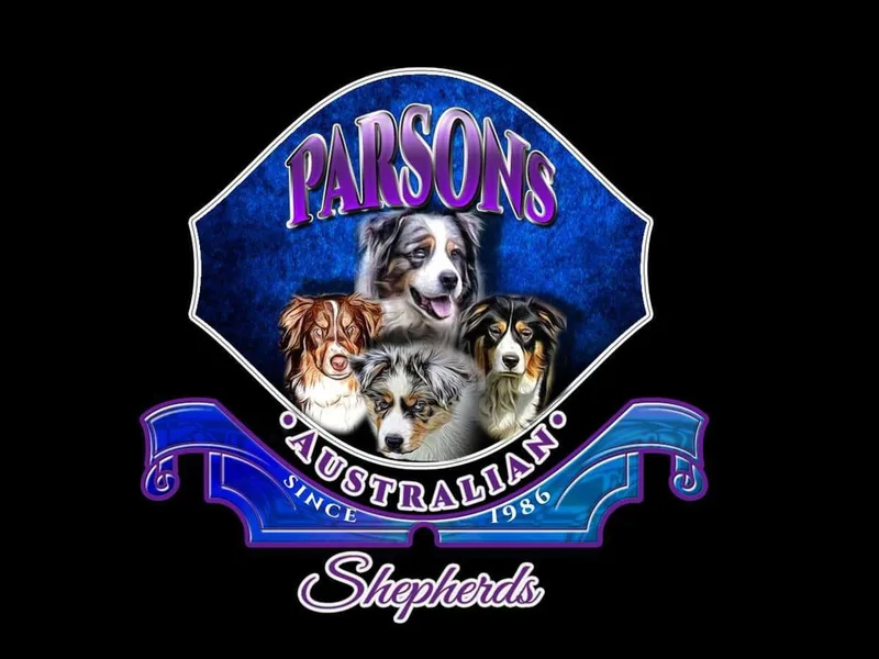 Parsons Australian Shepherds
