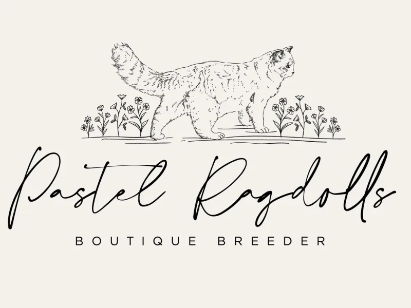 Pastelragdolls