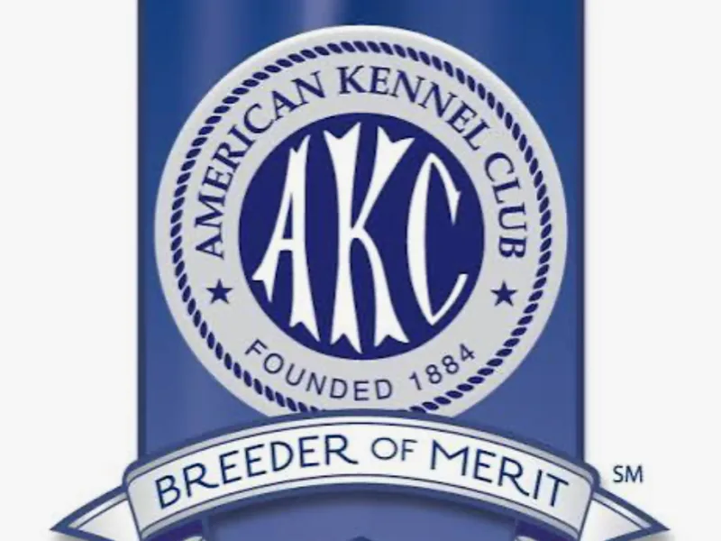 PATRIOT FARM BOSTON TERRIERS