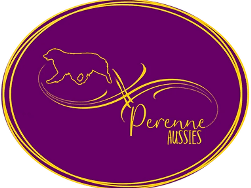 Perenne Aussies
