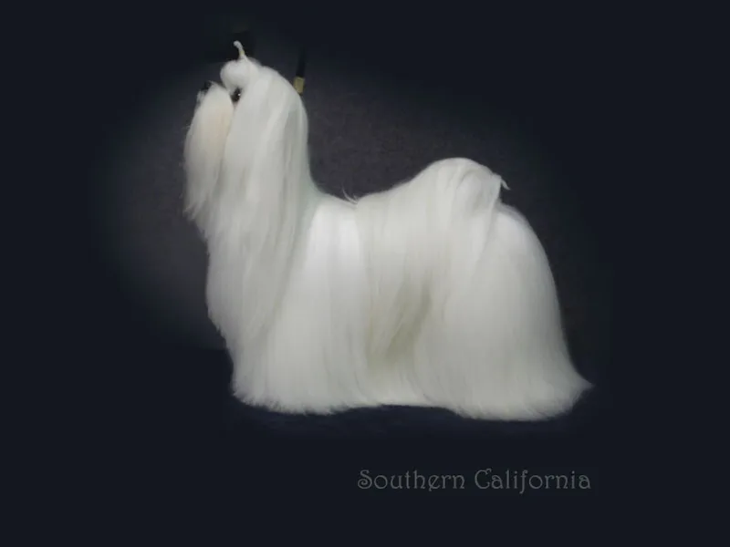 Peter Rogers- Validian Maltese