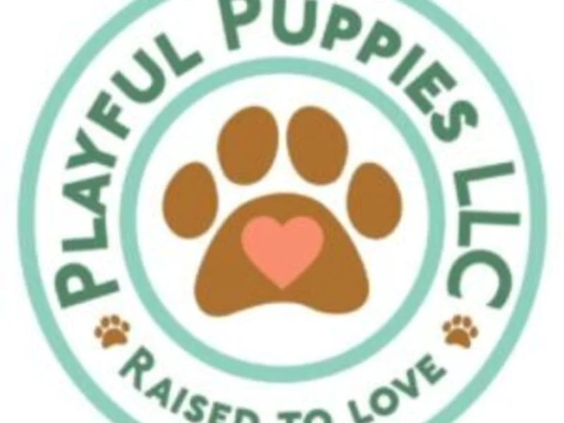 Playful Puppies LLC