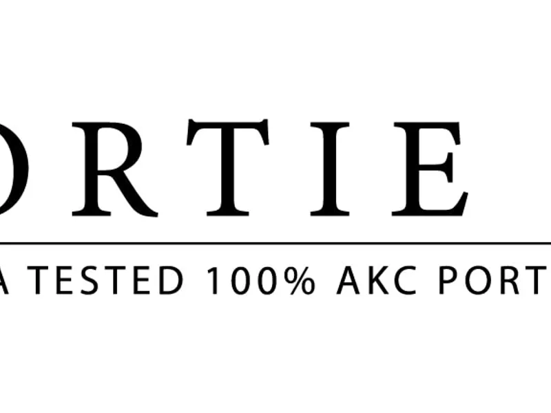 PORTIE CLUB www.portieclub.com