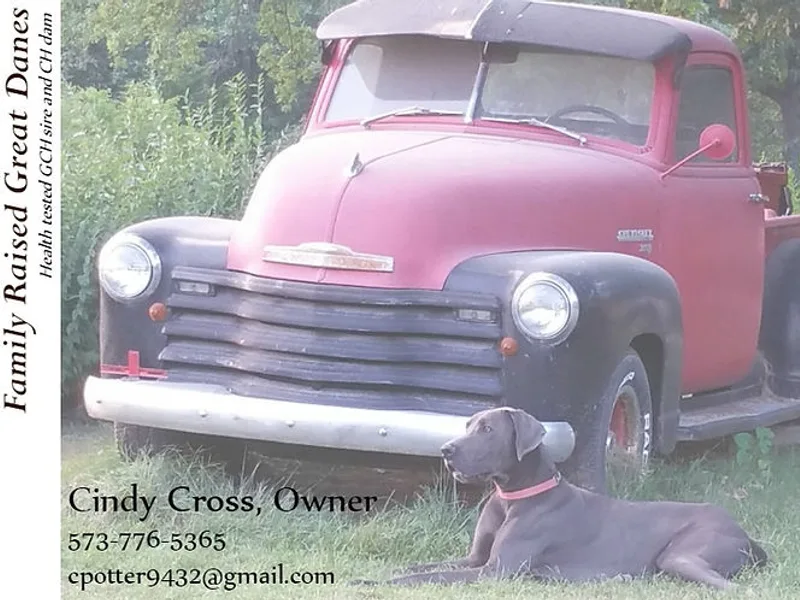 PotterDane Cross Country Kennel