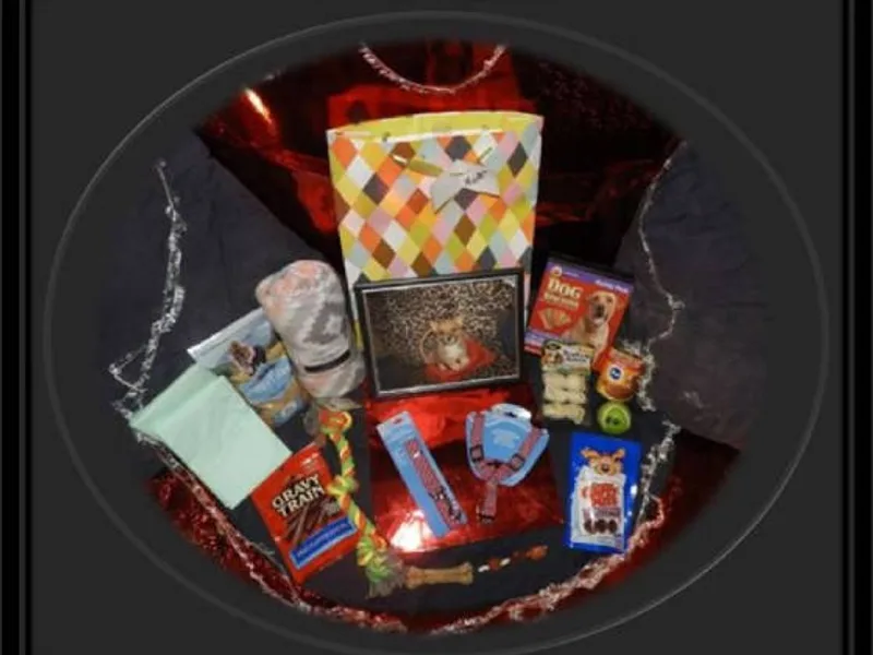 "PRETTY PRECIOUS PUPS, LLP"