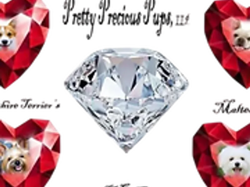 PRETTY PRECIOUS PUPS LLP