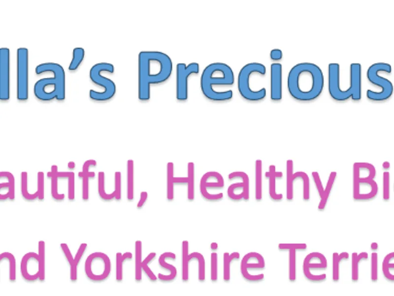 Priscilla Precious Pups