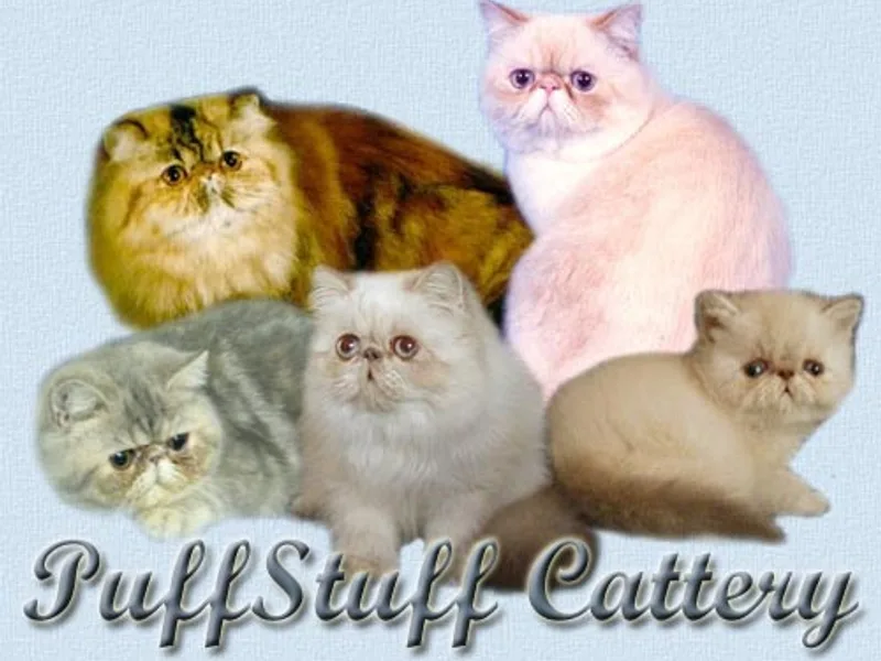 Puffstuff