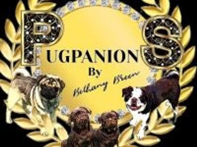 Pugpanions photo 1
