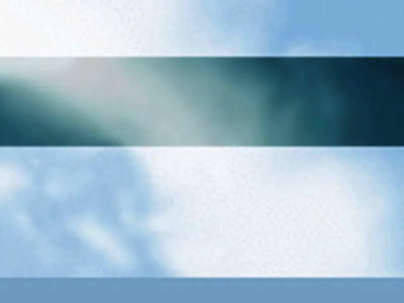 Querida Portuguese Water Dogs