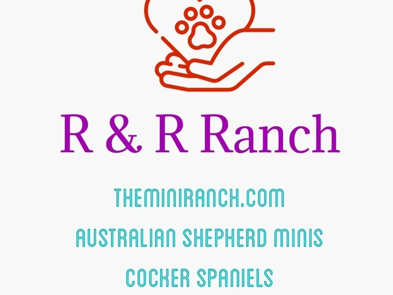 R & R Ranch The mini ranch