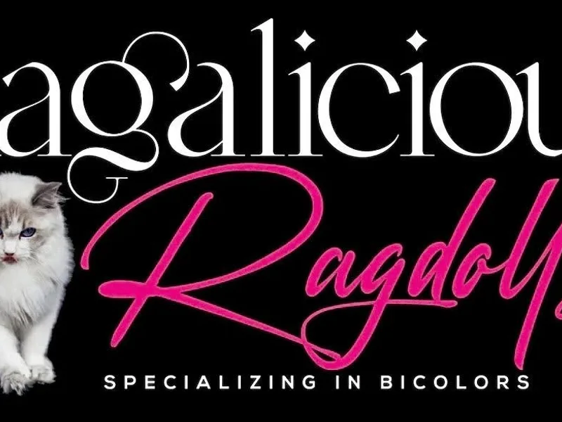 RagaliciousRags
