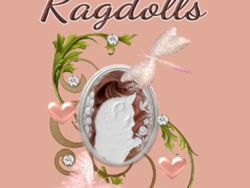 Ragsterragdolls photo 1
