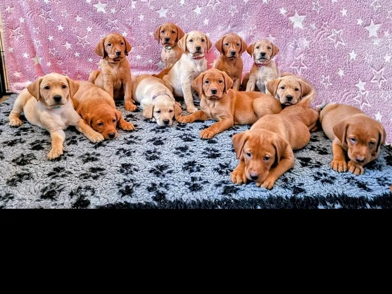 RainbowLabs photo 1
