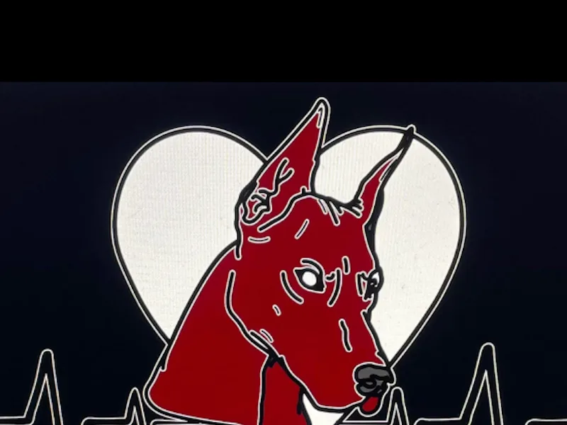 Recovery Road Dobermans