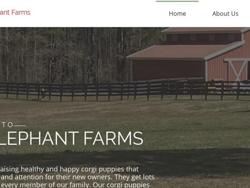 Red Elephant Farms