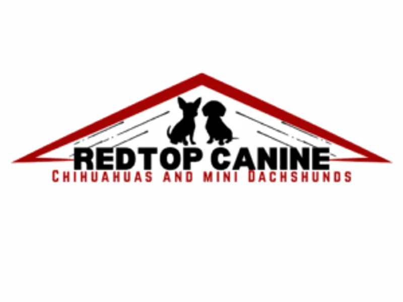 Redtop Canine