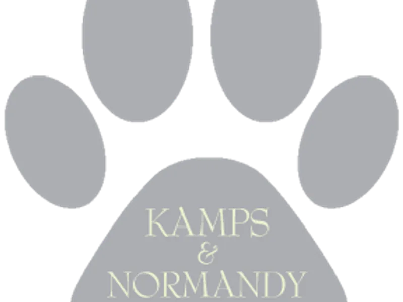 REGINA BEINHAUER - NORMANDY COCKERS