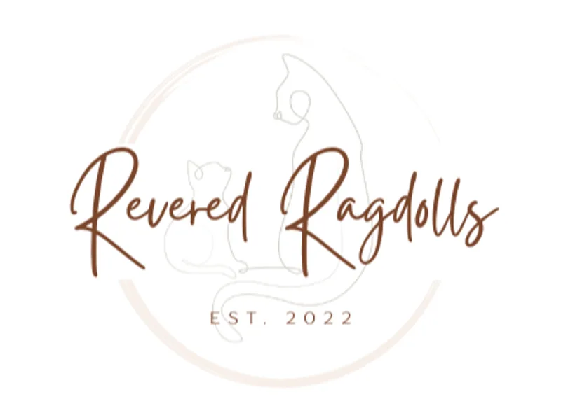 ReveredRagdolls photo 1