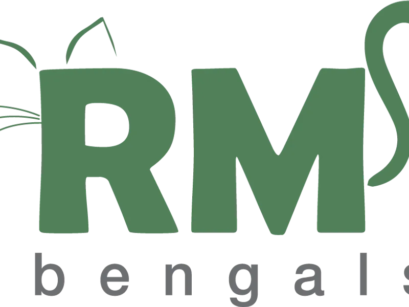 Rmbengals