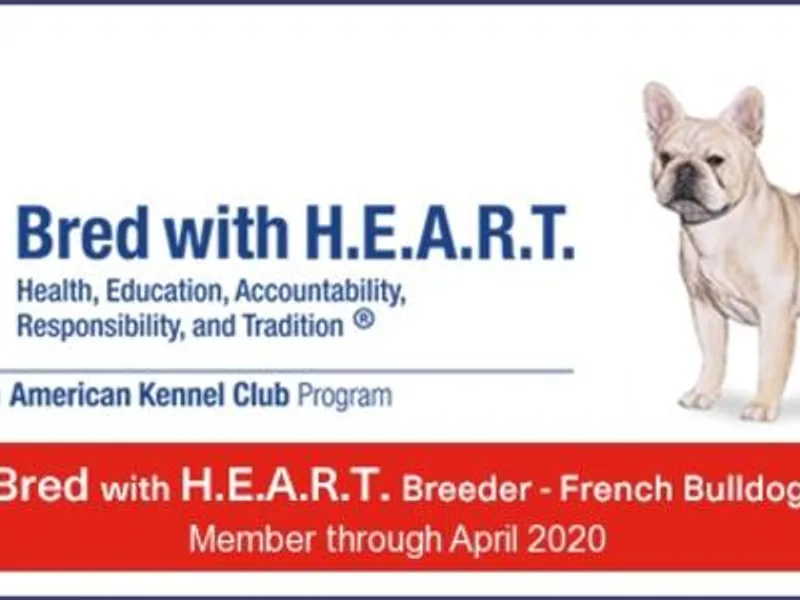 Rock House Frenchies