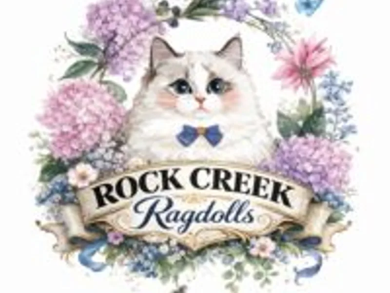 Rockcreek photo 1
