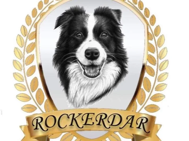 Rockerdar photo 1