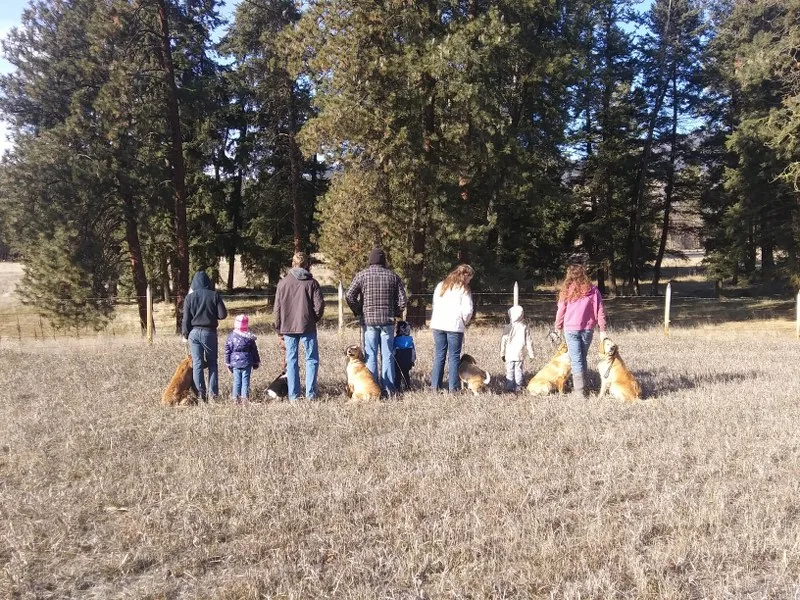 Rosehaven Homestead