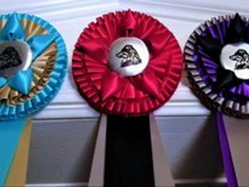 ROSETO Australian Shepherds