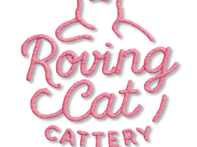 Roving Cat photo 1