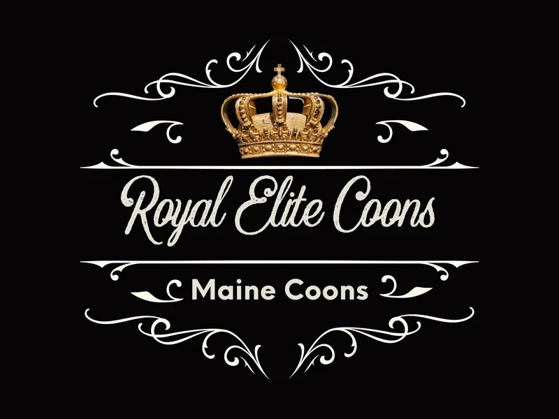 RoyalEliteCoons