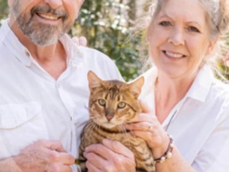 RoyaltyToyger photo 1